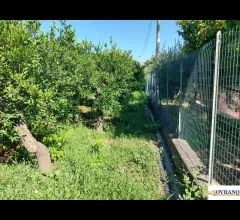 Appartamenti in Vendita - Villagrazia di palermo: terreno mq 1.600