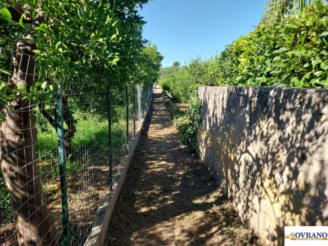 Appartamenti in Vendita - Villagrazia di palermo: terreno mq 1.600