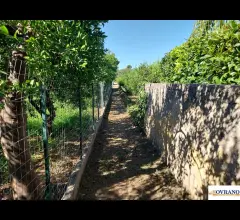 Appartamenti in Vendita - Villagrazia di palermo: terreno mq 1.600
