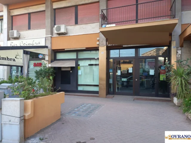 L. da vinci bassa:locale c/1 ottimo stato
