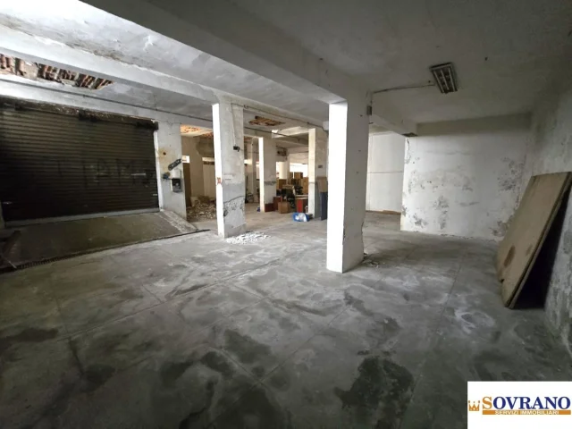 Appartamenti in Vendita - Viale delle scienze: locale c/6 piano s1