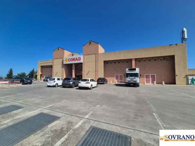 Appartamenti in Vendita - Carini/ss 113: locale mq 1100 con ampio parcheggio