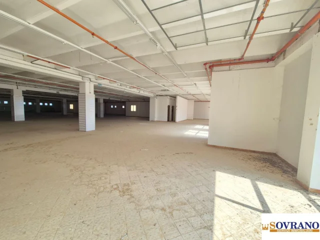 Appartamenti in Vendita - Carini/ss 113: locale mq 1100 con ampio parcheggio