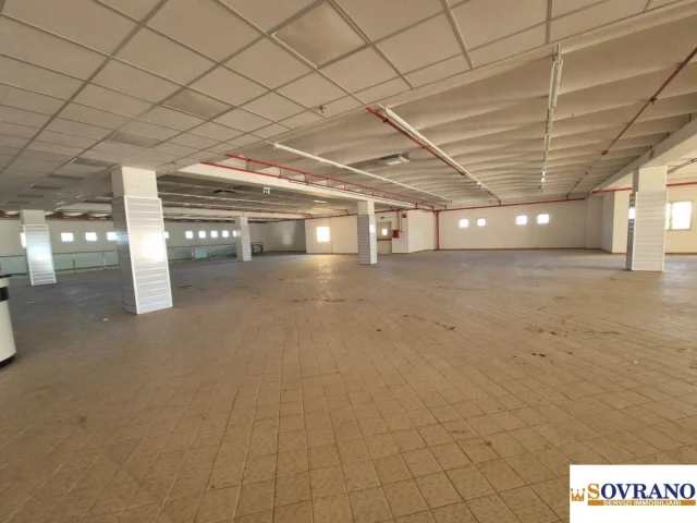 Appartamenti in Vendita - Carini/ss 113: locale mq 1100 con ampio parcheggio