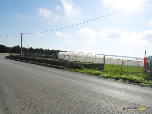 Appartamenti in Vendita - Cozzarelli