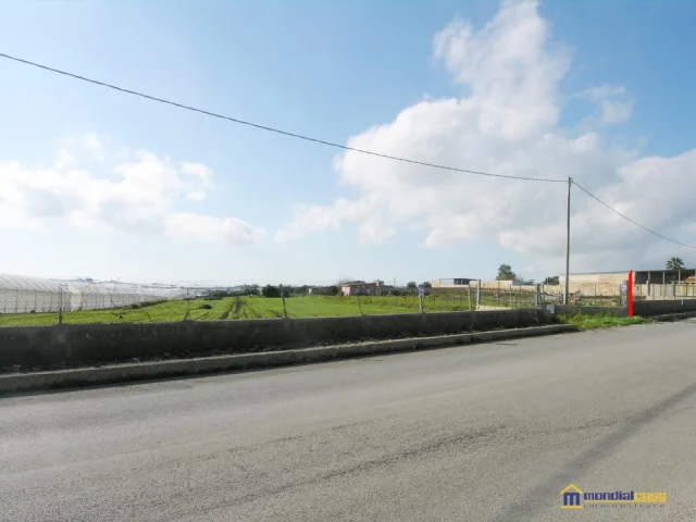 Appartamenti in Vendita - Cozzarelli 2