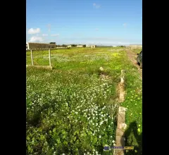 Appartamenti in Vendita - Pipitona