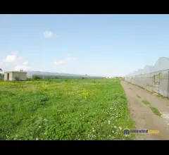 Appartamenti in Vendita - Pipitona