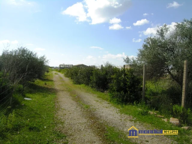 Appartamenti in Vendita - Cuffara