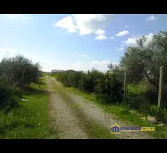 Appartamenti in Vendita - Cuffara