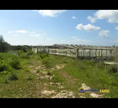 Appartamenti in Vendita - Cuffara