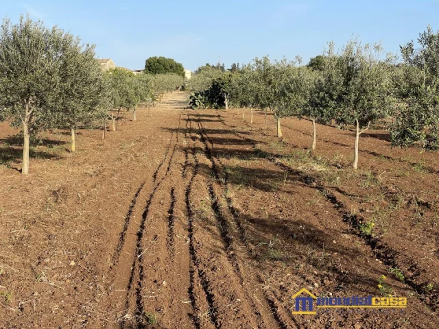 Appartamenti in Vendita - Preuta