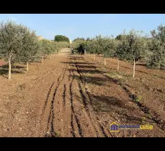 Appartamenti in Vendita - Preuta