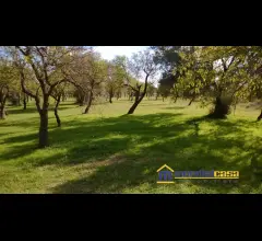 Appartamenti in Vendita - Etoile