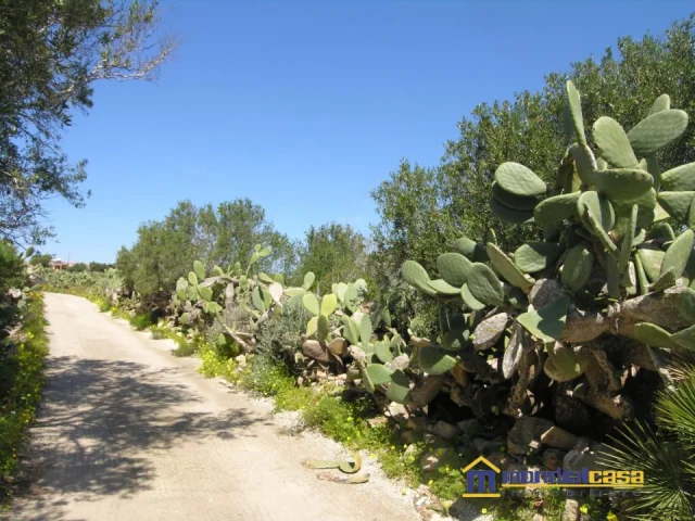 Appartamenti in Vendita - Cavarra