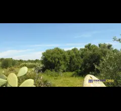 Appartamenti in Vendita - Cavarra