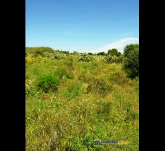 Appartamenti in Vendita - Cavarra