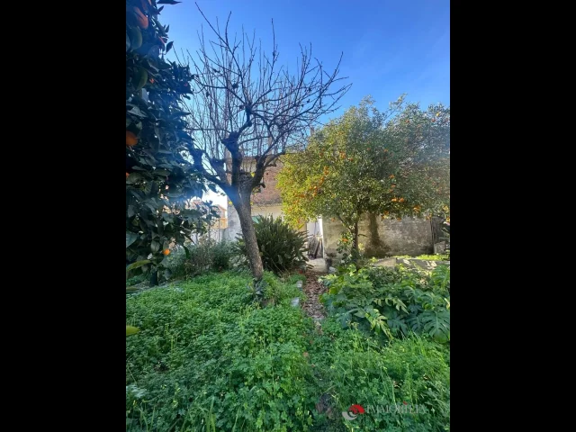 Appartamenti in Vendita - Villetta con grande giardino