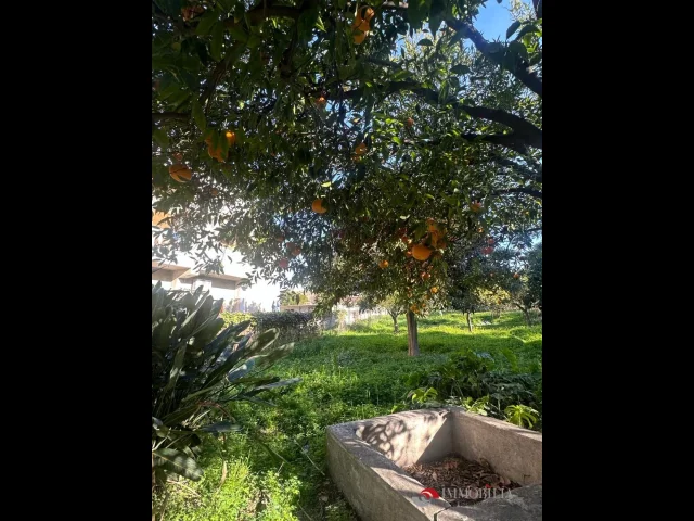 Appartamenti in Vendita - Villetta con grande giardino