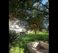 Appartamenti in Vendita - Villetta con grande giardino
