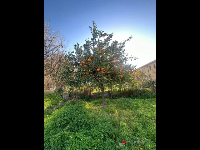 Appartamenti in Vendita - Villetta con grande giardino