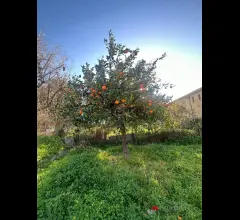 Appartamenti in Vendita - Villetta con grande giardino