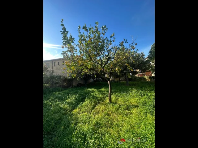 Appartamenti in Vendita - Villetta con grande giardino