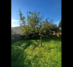 Appartamenti in Vendita - Villetta con grande giardino
