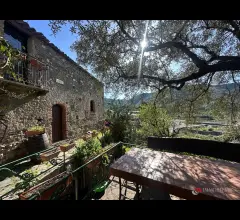 Tenuta lungo la valle del tuccio