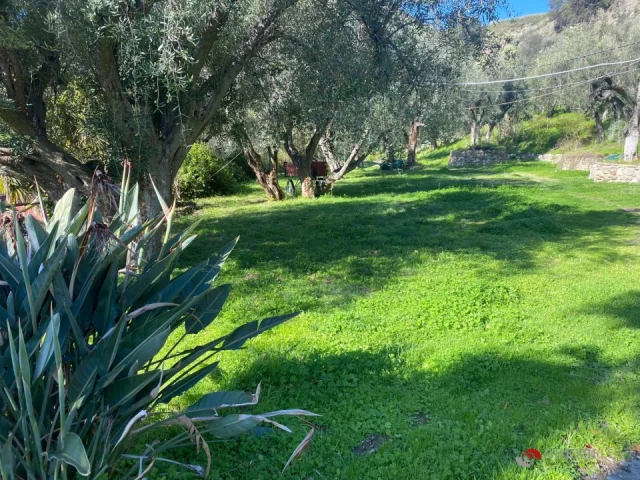 Appartamenti in Vendita - Tenuta lungo la valle del tuccio