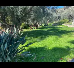 Appartamenti in Vendita - Tenuta lungo la valle del tuccio