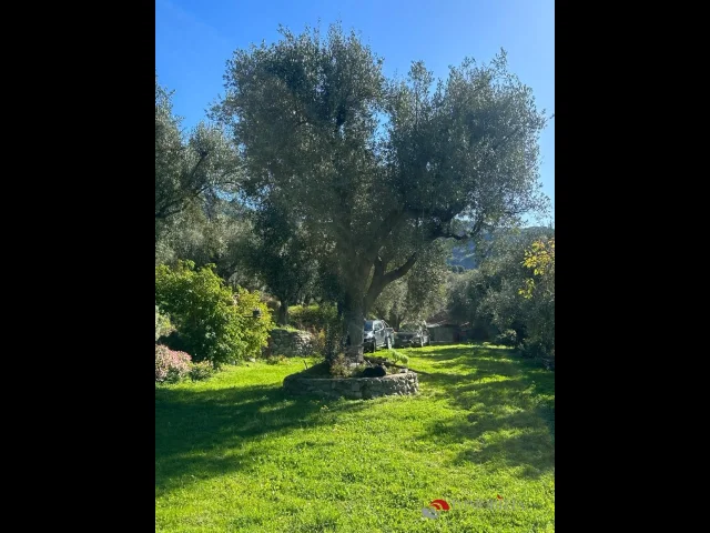 Appartamenti in Vendita - Tenuta lungo la valle del tuccio