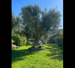 Appartamenti in Vendita - Tenuta lungo la valle del tuccio