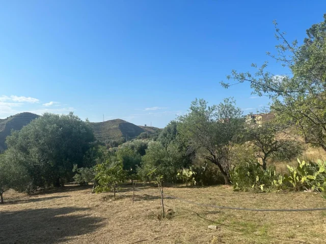 Appartamenti in Vendita - Proprietà agricola a pentedattilo