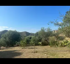 Appartamenti in Vendita - Proprietà agricola a pentedattilo