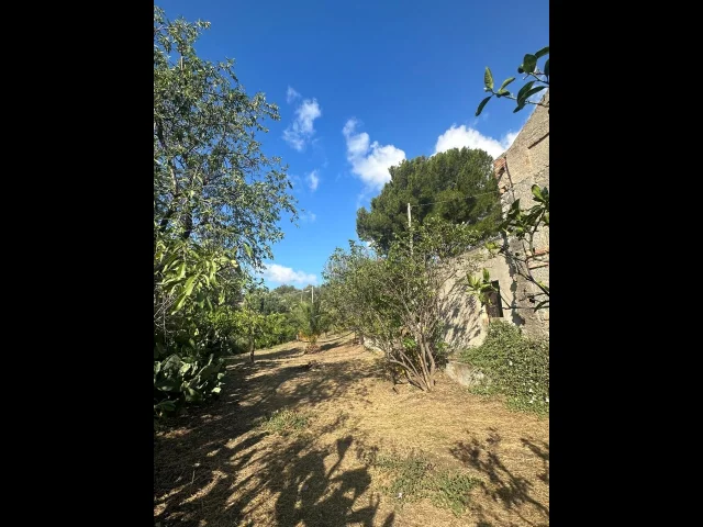 Appartamenti in Vendita - Proprietà agricola a pentedattilo