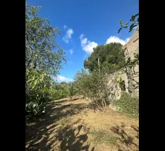 Appartamenti in Vendita - Proprietà agricola a pentedattilo