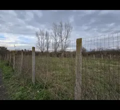 Terreno agricolo di circa 8000mq