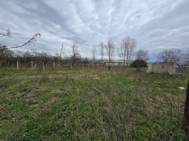 Appartamenti in Vendita - Terreno agricolo di circa 8000mq