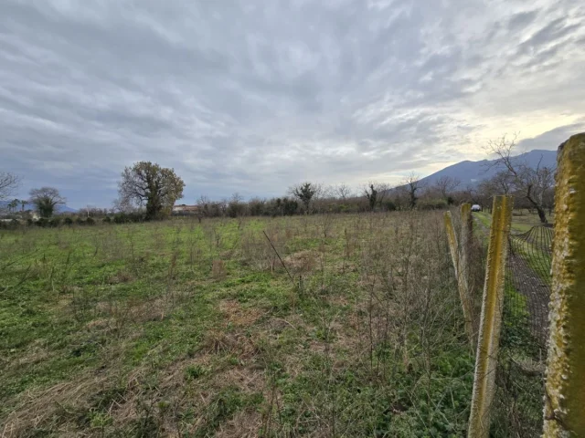 Appartamenti in Vendita - Terreno agricolo di circa 8000mq