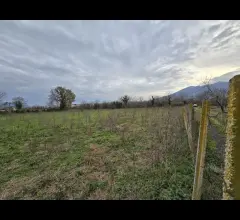 Appartamenti in Vendita - Terreno agricolo di circa 8000mq