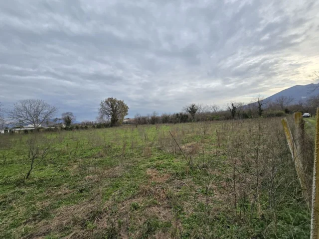 Appartamenti in Vendita - Terreno agricolo di circa 8000mq