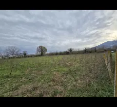 Appartamenti in Vendita - Terreno agricolo di circa 8000mq
