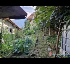 Appartamenti in Vendita - Malonno vendesi casa terra cielo