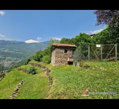 Appartamenti in Vendita - Cedegolo grevo vendesi rustico da ristrutturare con terreno