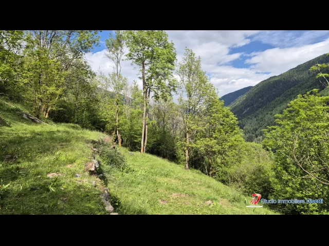 Appartamenti in Vendita - Incudine vendesi baita con terreno