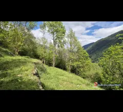 Appartamenti in Vendita - Incudine vendesi baita con terreno