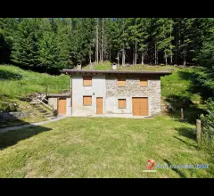 Appartamenti in Vendita - Monno vendesi baita indipendente immersa nel verde