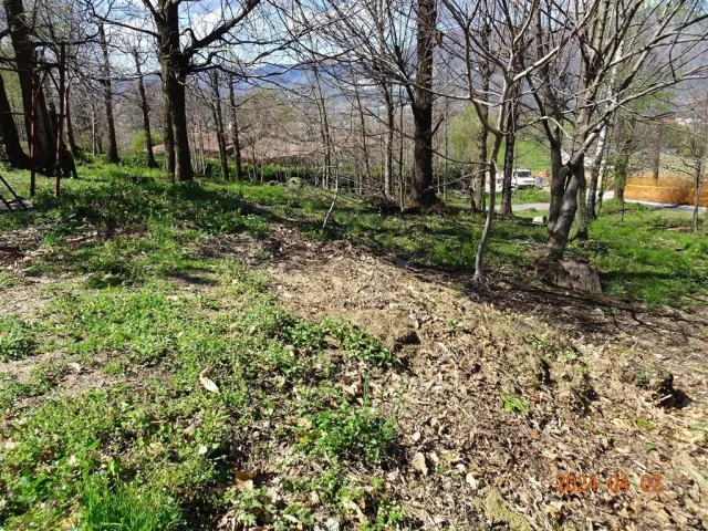 Appartamenti in Vendita - Terreno edificale a ello