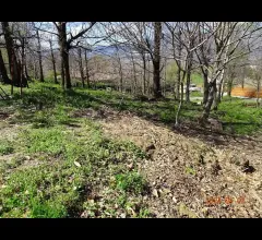 Appartamenti in Vendita - Terreno edificale a ello